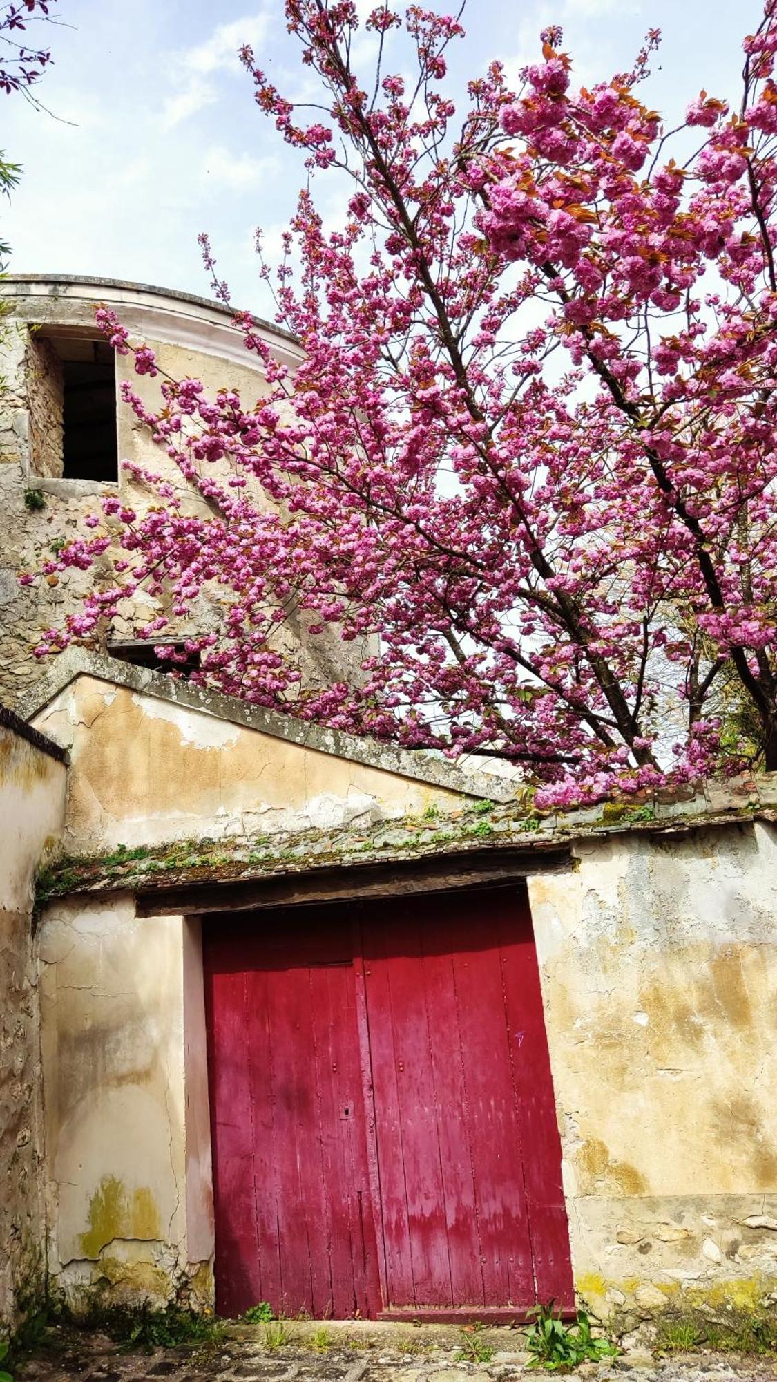 Romantic Room - Studio Jardin - Proche Disneyland Paris Crecy-la-Chapelle Exterior photo